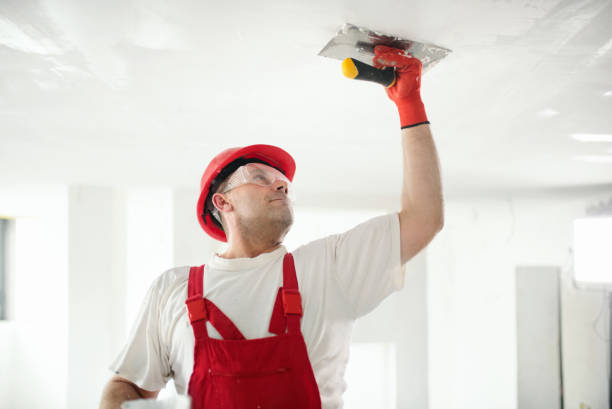 Best Drywall Removal and Disposal  in Auburn Hills, MI