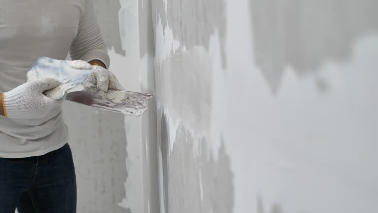 Best Drywall Sanding and Smoothing  in Auburn Hills, MI